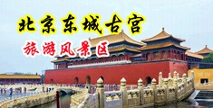 发骚的小屄中国北京-东城古宫旅游风景区